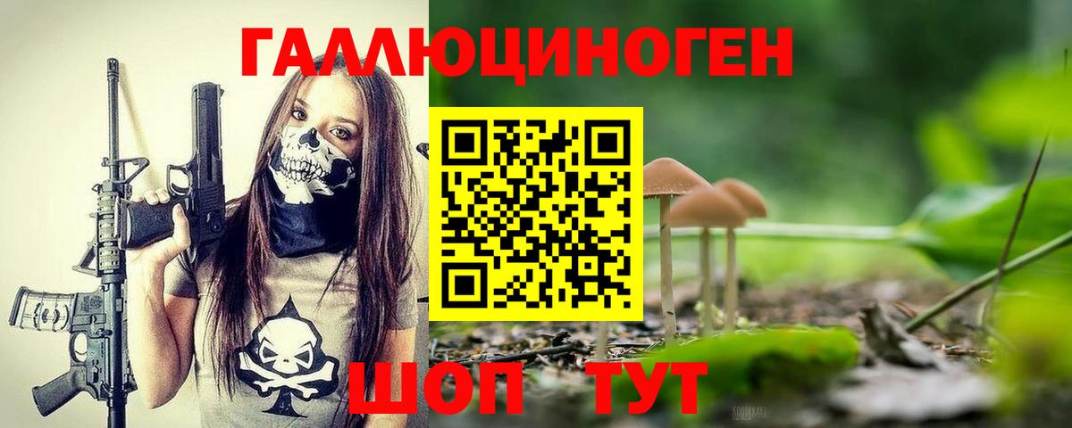 Псилоцибиновые грибы Cubensis Рославль