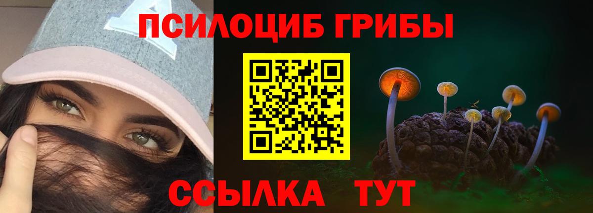 Псилоцибиновые грибы MAGIC MUSHROOMS  Вход с VPN  Рославль 